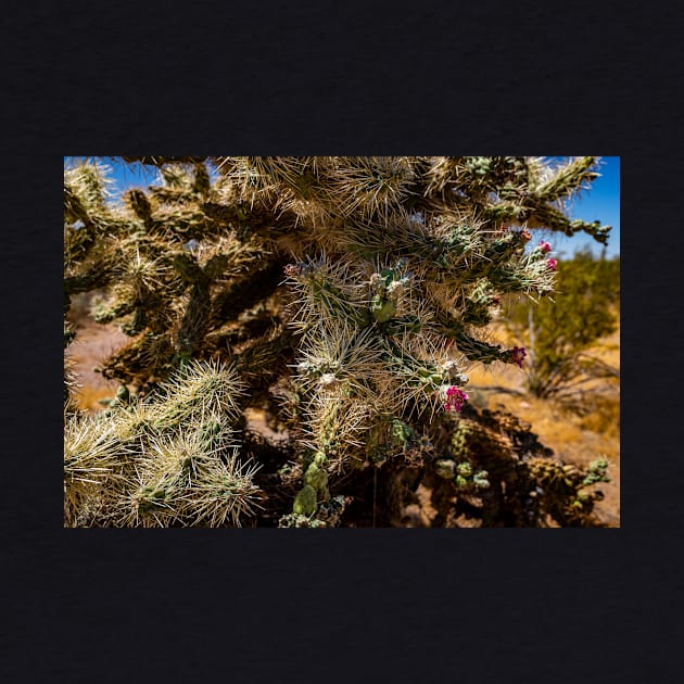 Cholla Cactus along the Apache Trail by Gestalt Imagery